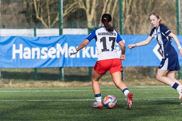 Bild 193 - wBJ Hamburger SV - Hertha BSC : Ergebnis: 2:1